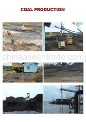 STEAM COAL