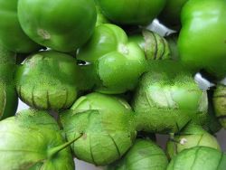 Tomatillos