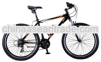 fashionable mountain bicycle from bicycle factory