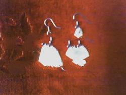 Shell Earring