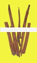 CASSIA STICK