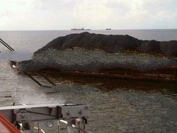 Steam Coal