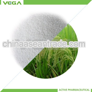 food Citric Acid medicine grade supplier