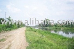 Sale Cheap Land in Karawang for Real Estate 60 Ha (600. 000 m2)