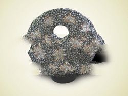 Black Moon Lamp