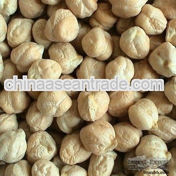 fresh indian chickpeas for Chile