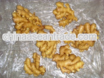 fresh, semi-dry, pure air-dried ginger 150g up