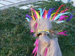 Colorful Feather Headdress