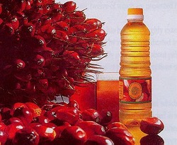 RBD Palm Oil