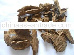 King Agarwood