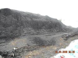 Steam Coal