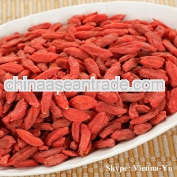 goji berry