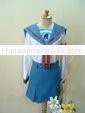 Cosplay Costume