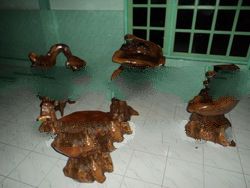 living room teak root