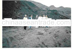 Steam Coal