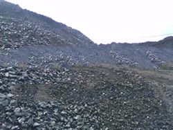 Coal Supplier From Kalimantan Area, 