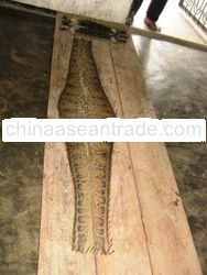 Snake Leather