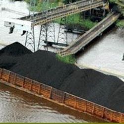 Steam Coal