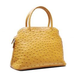 Genuine Crocodile Skin Handbag - Spring / Summer 2011 Collection