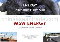 n Steam Coal - non coking (FOB ONLY)