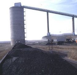 Coal