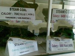 Steam Coal Non Cooking Origin Indonesian