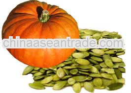 high quality Pumpkin Seed powder extract with best price
