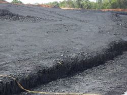 Steam Coal GCV 5,100 - 5,300 adb, FOB Basis