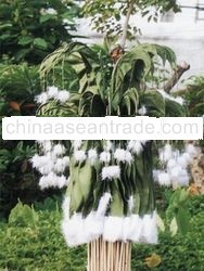 Olive Christmas Flag