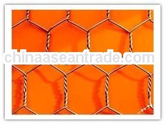 hot sale! China Suppliers! hexagonal decorative chicken wire mesh/ Hexagonal Wire Netting / chicken 