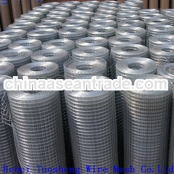 hot sale! galvanized welded wire net (anping factory)