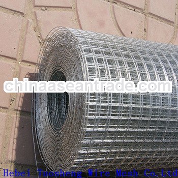 hot sale! hot dip galvanized welded wire net (anping factory)