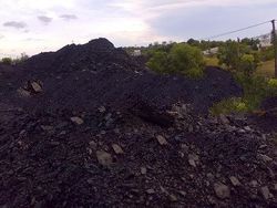 Steam Coal