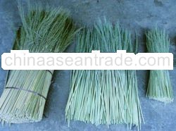 BROOM RAW MATERIAL