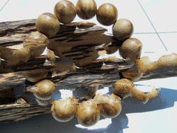  Borneo Wild Agarwood Aloeswood Buddhism Meditation Prayer beads
