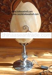 table natural shell lamp