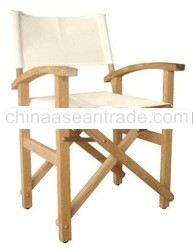 Basic Director Chair