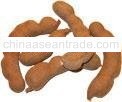 Tamarind