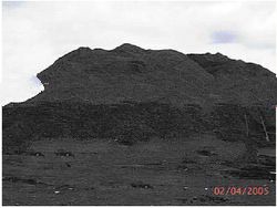 Steam Coal