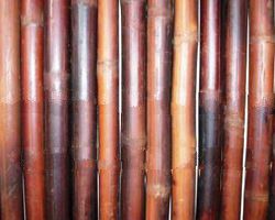 FENCING POLE THICK BROWN