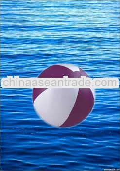 inflatable water ball