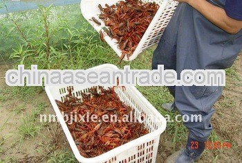 instrument for processing lobster meal with high efficiency for animal feed
