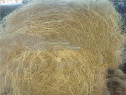 High Quality Golden Brown Coconut Fibre for Sale