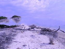 LAND FOR SALE GILI TRAWANGAN