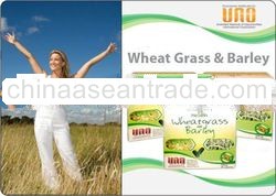 UNO WHEAT GRASS AND BARLEY