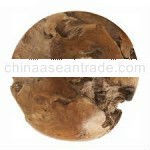 TEAK ROOT BALL 30 CM