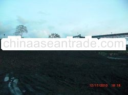 Kalimantan Steam Coal Caloric 5300 - 5500 GAR 4000