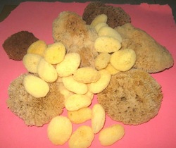 Silk sea sponges