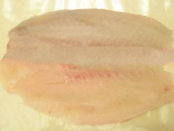 Fresh Frozen Tilapia Fish Fillet