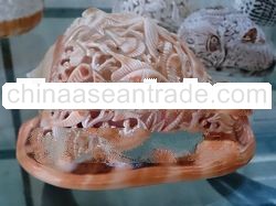 shell aquarium decorations